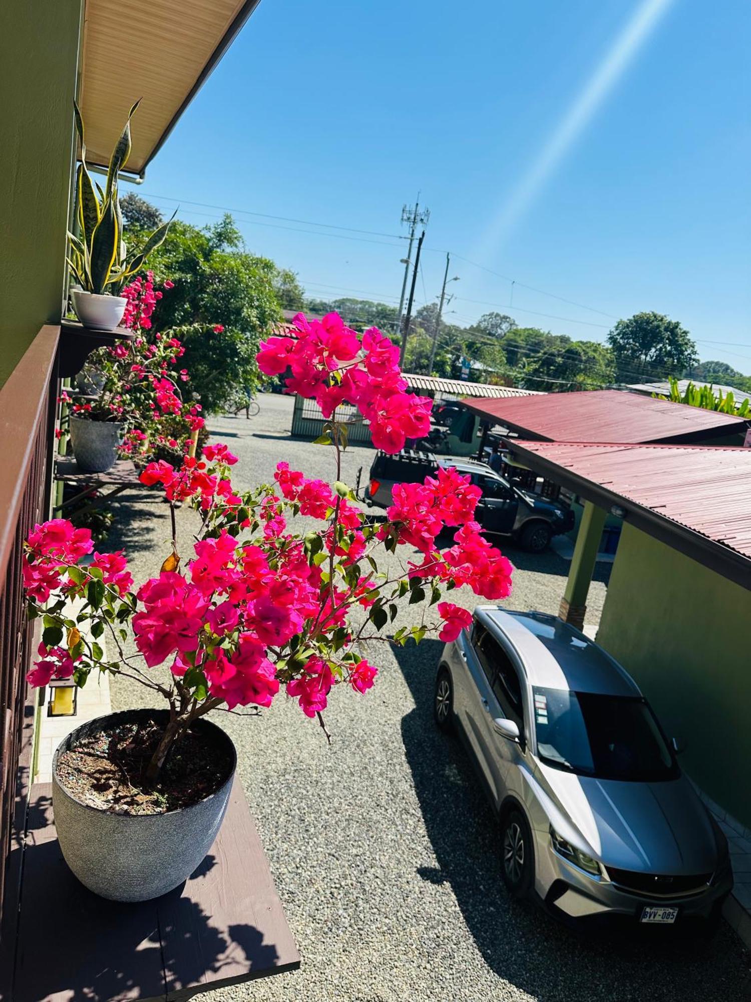 Hotel La Fiore De Bahia อูวีตา ภายนอก รูปภาพ
