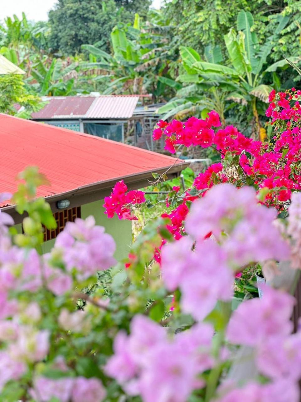 Hotel La Fiore De Bahia อูวีตา ภายนอก รูปภาพ